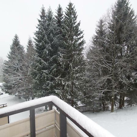 Ferienwohnung Mit Blick In Den Bayrischen Wald Oberhalb Von Sankt Engelmar ザンクト・エングルマール エクステリア 写真