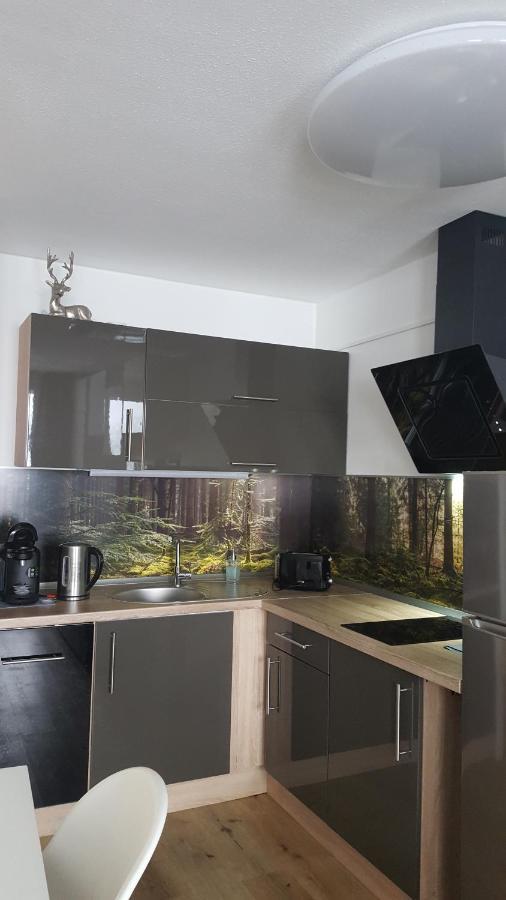 Ferienwohnung Mit Blick In Den Bayrischen Wald Oberhalb Von Sankt Engelmar ザンクト・エングルマール エクステリア 写真