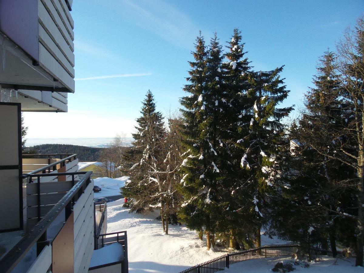 Ferienwohnung Mit Blick In Den Bayrischen Wald Oberhalb Von Sankt Engelmar ザンクト・エングルマール エクステリア 写真