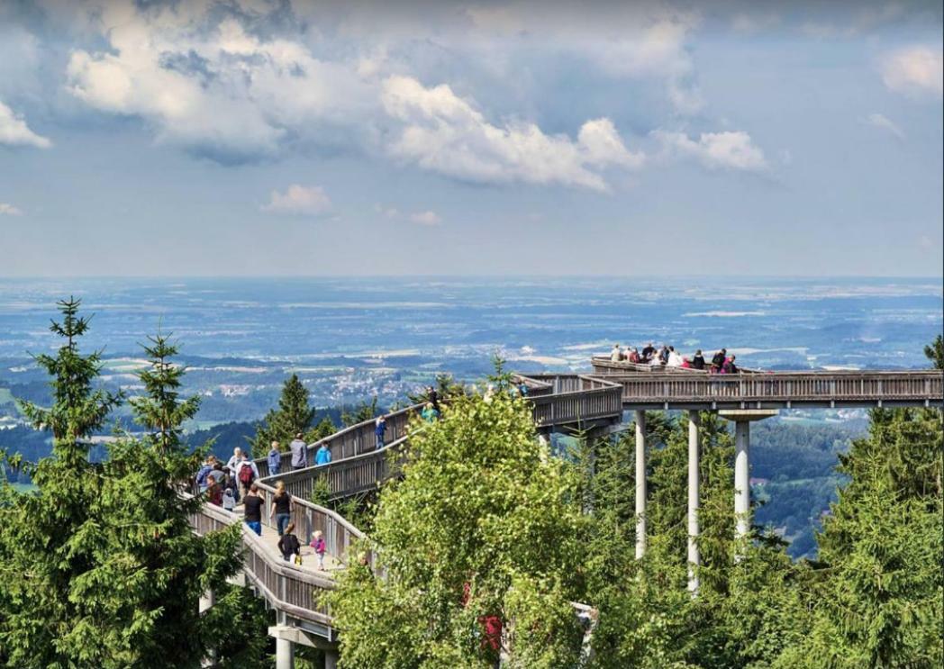 Ferienwohnung Mit Blick In Den Bayrischen Wald Oberhalb Von Sankt Engelmar ザンクト・エングルマール エクステリア 写真