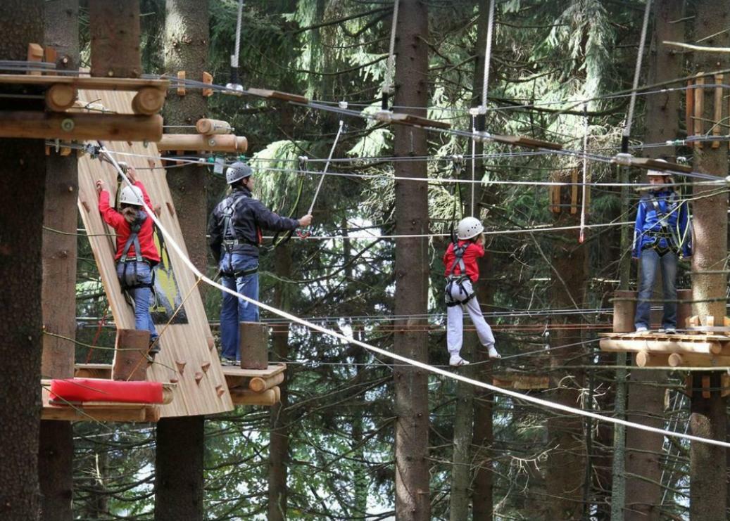 Ferienwohnung Mit Blick In Den Bayrischen Wald Oberhalb Von Sankt Engelmar ザンクト・エングルマール エクステリア 写真